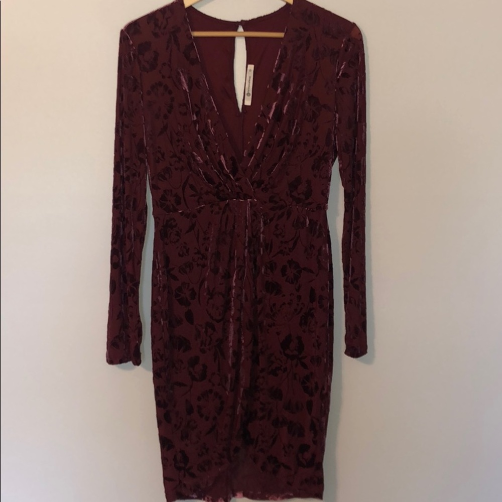The Impeccable Pig Maroon Velvet Flower Dress